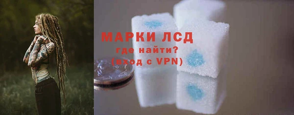 индика Волосово