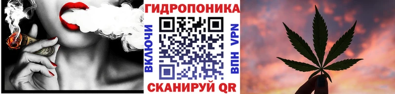 Канабис планчик  Оха 